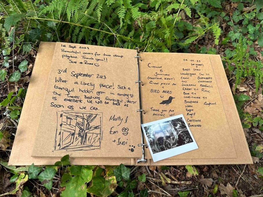 Cornwall Woodland Shepherd'S Hut - Dennis Hut بودمين المظهر الخارجي الصورة