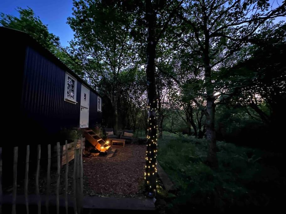 Cornwall Woodland Shepherd'S Hut - Dennis Hut بودمين المظهر الخارجي الصورة