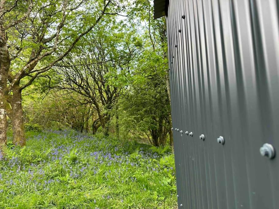 Cornwall Woodland Shepherd'S Hut - Dennis Hut بودمين المظهر الخارجي الصورة
