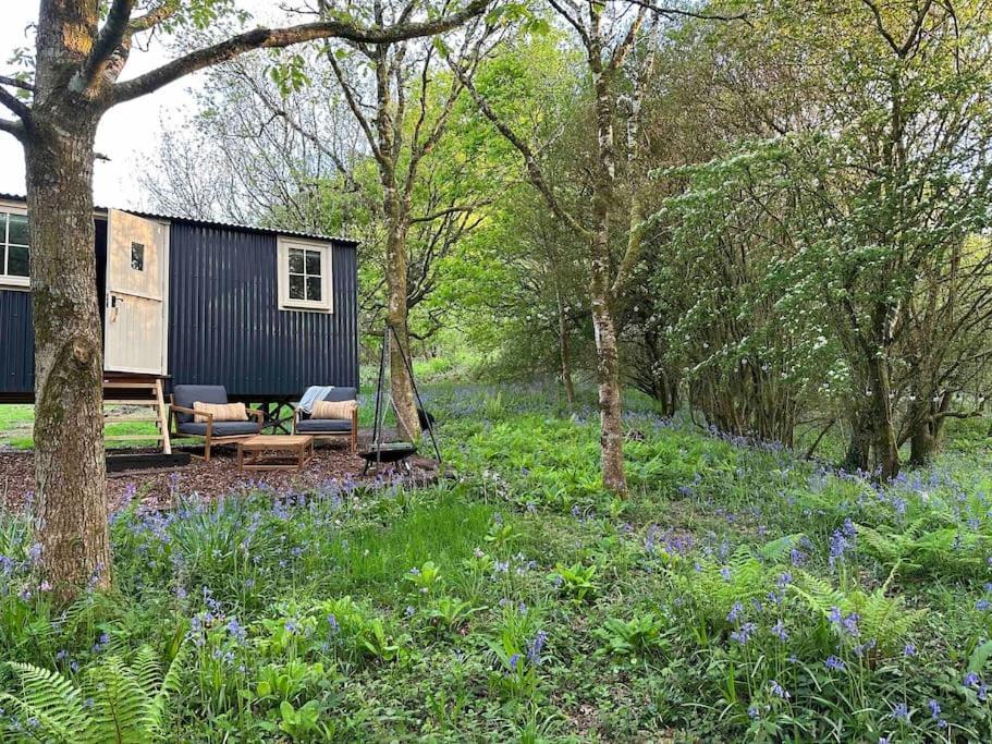 Cornwall Woodland Shepherd'S Hut - Dennis Hut بودمين المظهر الخارجي الصورة