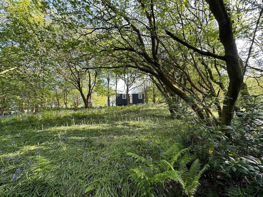 Cornwall Woodland Shepherd'S Hut - Dennis Hut بودمين المظهر الخارجي الصورة