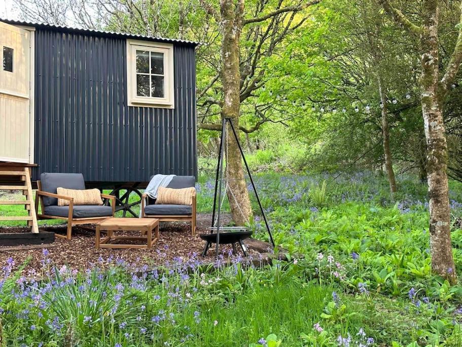 Cornwall Woodland Shepherd'S Hut - Dennis Hut بودمين المظهر الخارجي الصورة